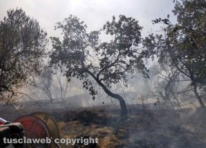 Weekend di fuoco nell'Alto viterbese 
