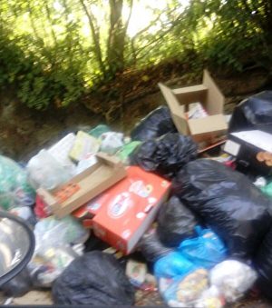 Viterbo - Rifiuti in strada Palomba
