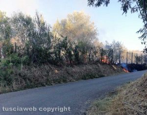 Viterbo - In fiamme campi e uliveti in strada Sasso S. Pellegrino