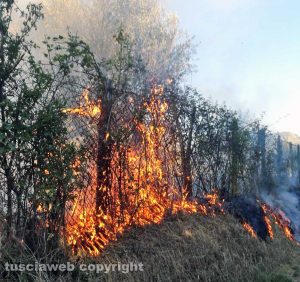 Campi in fiamme