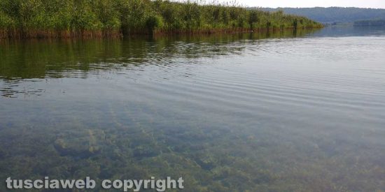 Il lago di Vico