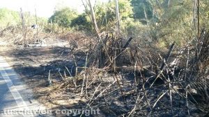 Barbarano Romano - Incendio di sterpaglie in loc. Vico Matrino
