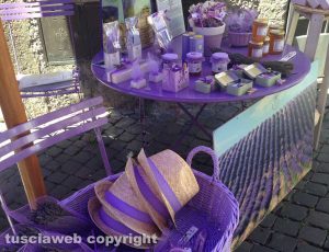 Tuscania - Festa della lavanda