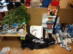 La marijuana sequestrata dai carabinieri
