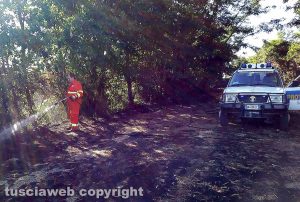 Incendio a Bolsena - Bosco e sterpaglie in fiamme in località San Giuseppe
