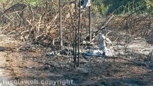 Barbarano Romano - Incendio di sterpaglie in loc. Vico Matrino
