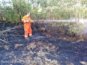 Incendio a Bolsena - Bosco e sterpaglie in fiamme in località San Giuseppe