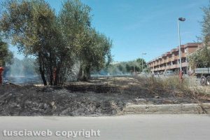 Tuscania - Incendio nel quartiere ex Gescal