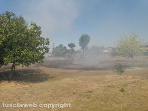 Viterbo - Sterpaglie in fiamme sulla Tuscanese