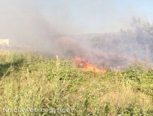 Viterbo - In fiamme campi e uliveti in strada Sasso S. Pellegrino