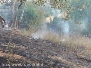Vetralla - Incendio in localitá Pontarello