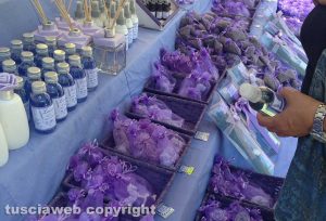 Tuscania - Festa della lavanda