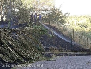 Viterbo - Incendio in via Corrado Alvaro