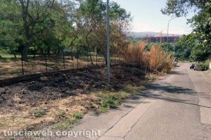 Viterbo - Via Bonucci dopo l'incendio