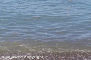 Tarquinia - Schiuma e liquami nel mare di Riva dei Tarquini