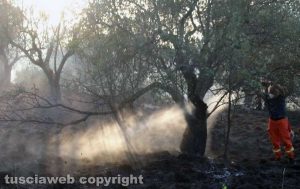 Incendio a Ponte di Cetti