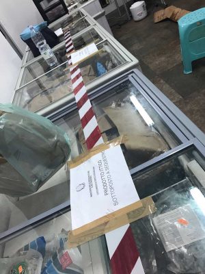 Il pesce sequestrato dalla guardia costiera