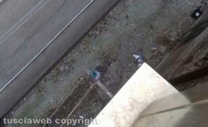 Viterbo - Escrementi e piccioni morti nei bagni di piazza Fontana grande
