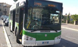Viterbo - Bus Francigena