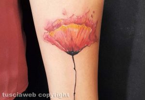 Un tatuaggio di Nicola Burratti