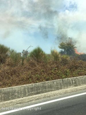 L'incendio sulla Cassia bis