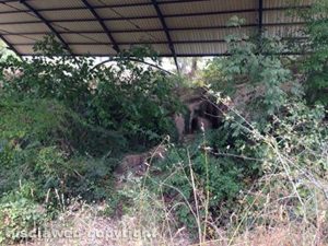 Blera - Sito archeologico in località Lumi sul Mignone