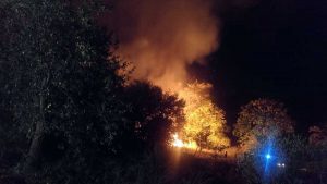L'incendio di bosco a Bassano Romano 