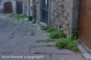 Viterbo - Incuria a via Scacciaricci