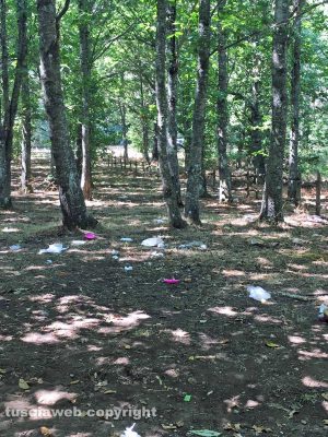 Viterbo - Incuria e degrado nell'area picnic di valle Gelata