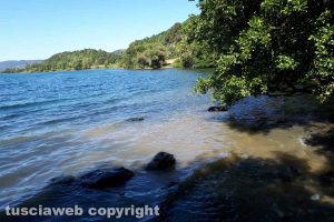 Lago di Bolsena - Uno scarico Cobalb