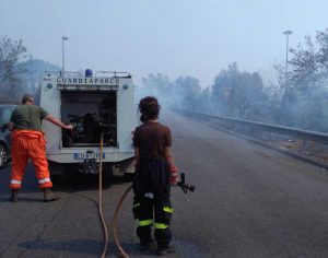 Guardiaparco al lavoro