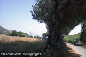 Tarquinia - Sterpaglie in fiamme