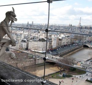 Parigi - La rete di protezione a Notre Dame