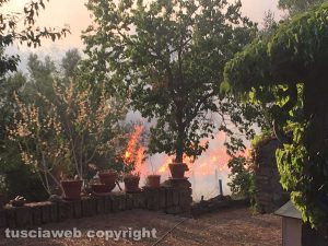 Vetralla - Incendio in strada Quartuccio