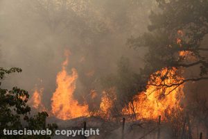 Estate rovente, incendi in tutta la provincia