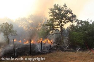Viterbo - Incendio in strada Quartuccio