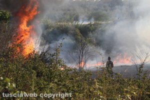 Viterbo - Incendio in località le Masse