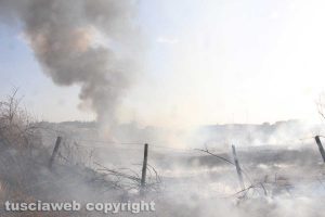Viterbo - Incendio in località le Masse
