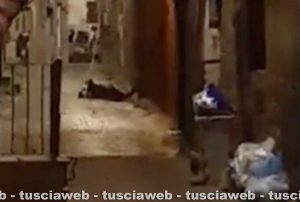 Viterbo - Sesso nel centro storico?