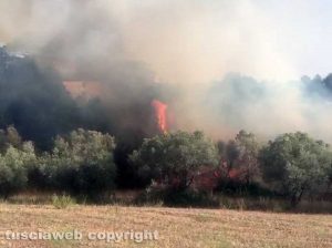 Incendio a Ponte di Cetti