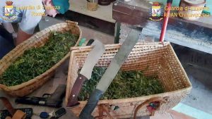 Formello - Coltivazione di marijuana in villa