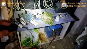 Formello - Coltivazione di marijuana in villa