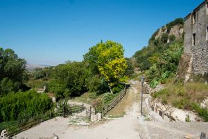 Tarquinia - Tra i rami dell'arte
