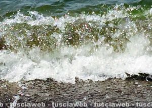 Pescia Romana - L'acqua verdastra
