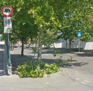 Viterbo - Ramo su via Cerasa