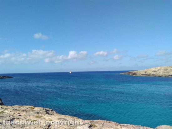 Lampedusa