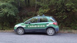 L'operazione degli uomini del Nipaf