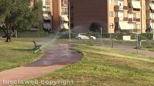 Viterbo - Gli irrigatori al parco di S. Barbara