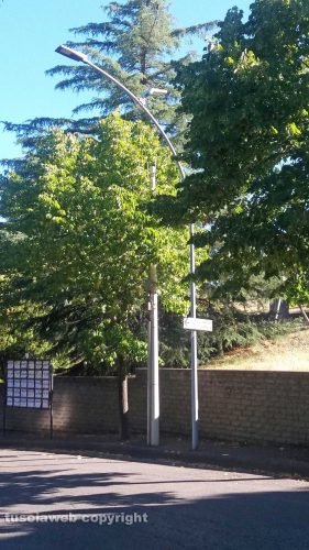 Viterbo - Via Monte Cervino - I lampioni corti dagli alberi