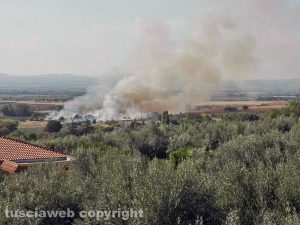 Viterbo - L'incendio tra Ponte di Cetti e lo svincolo della superstrada